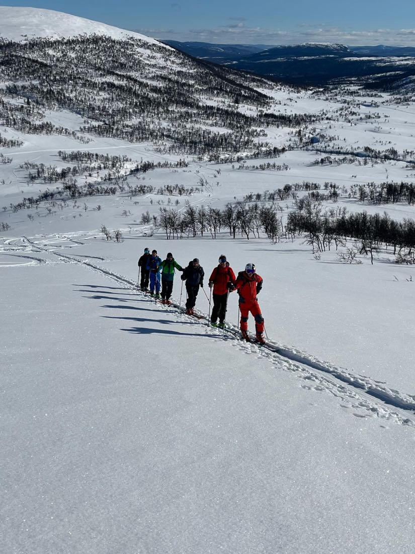 Sex skidåkare på tur över ett snötäckt fjäll.